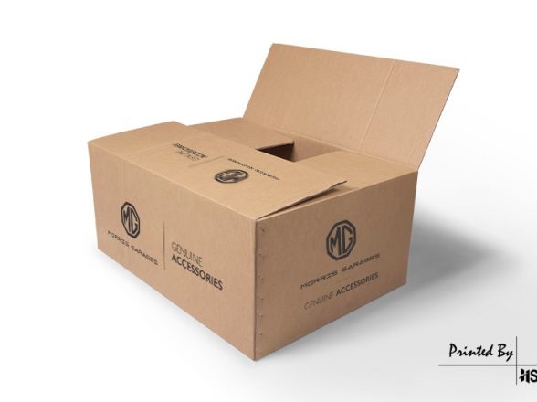 Corrugated Master Carton